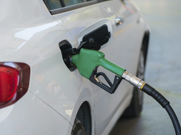 Biodiesel: The Future of Transportation 5 img