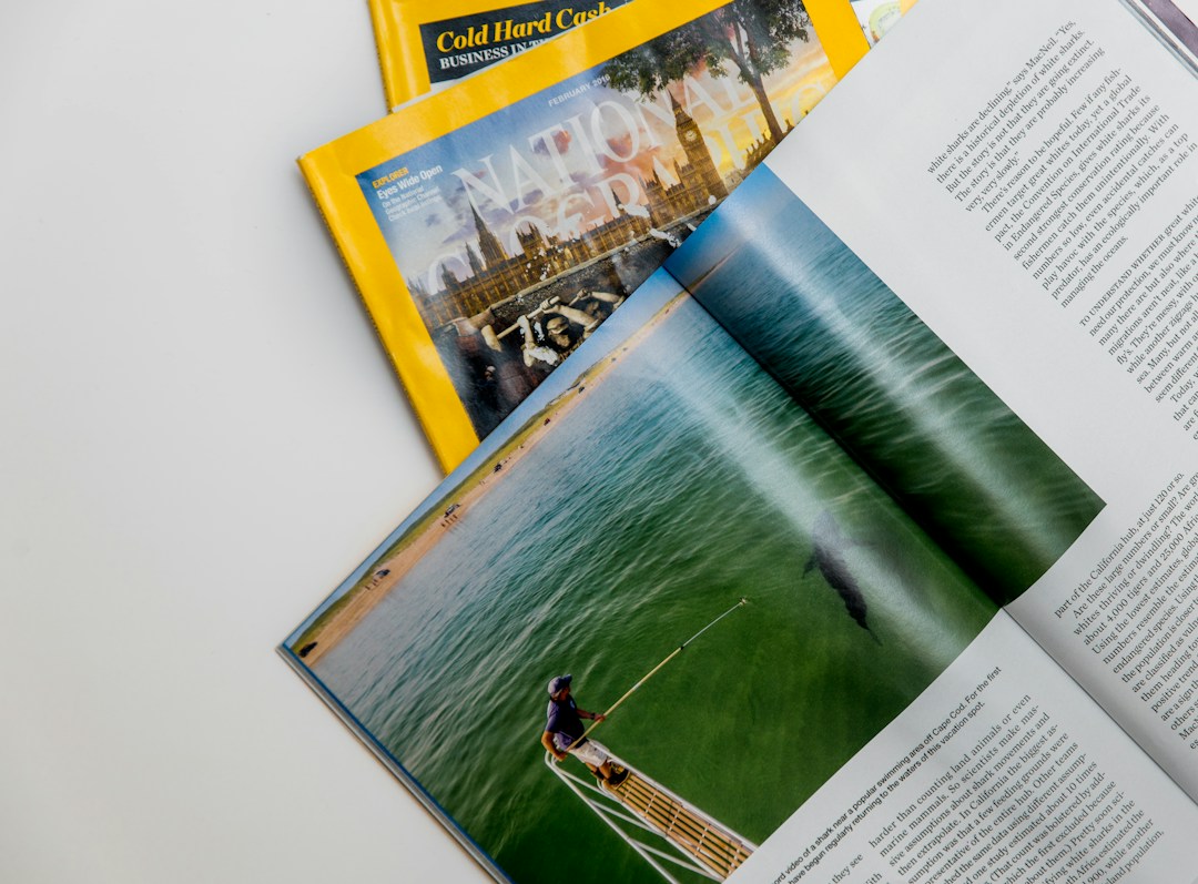 The Difference Strong Digital Design Can Make for Your Business 6 img