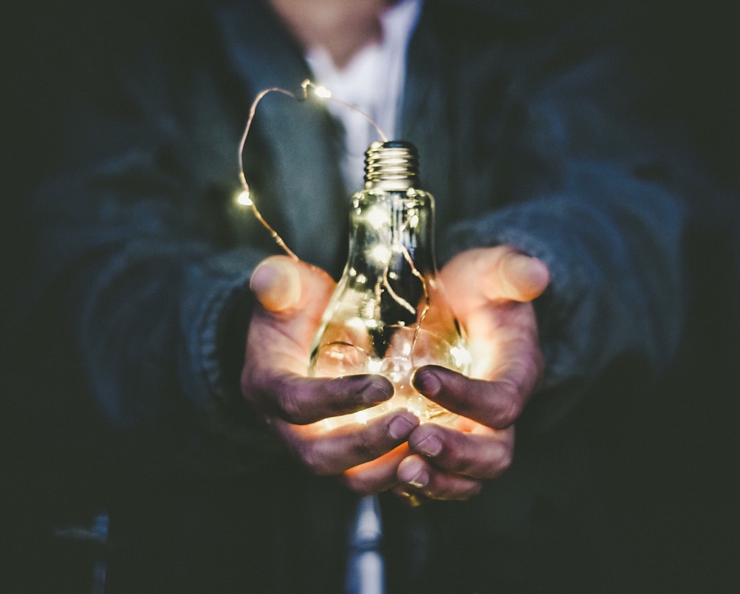 A Guide for Entrepreneurs: How To Be a Leader in Whatever Niche You Choose 6 img